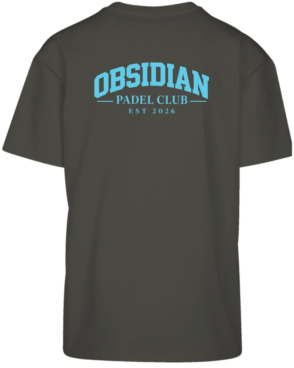 Varsity Oversized Tee in Charcoal with light blue print, back