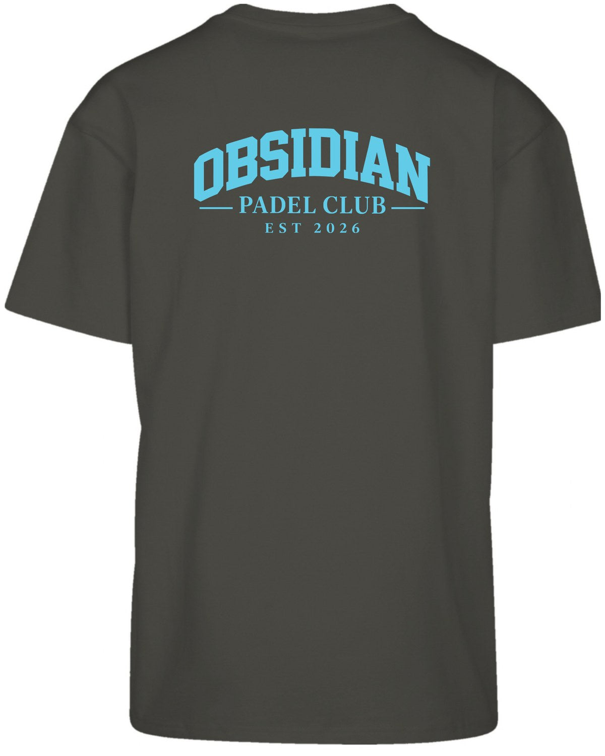Varsity Oversized Tee in Charcoal with light blue print, back