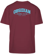 Varsity Oversized Tee in Cherry with light blue print, back