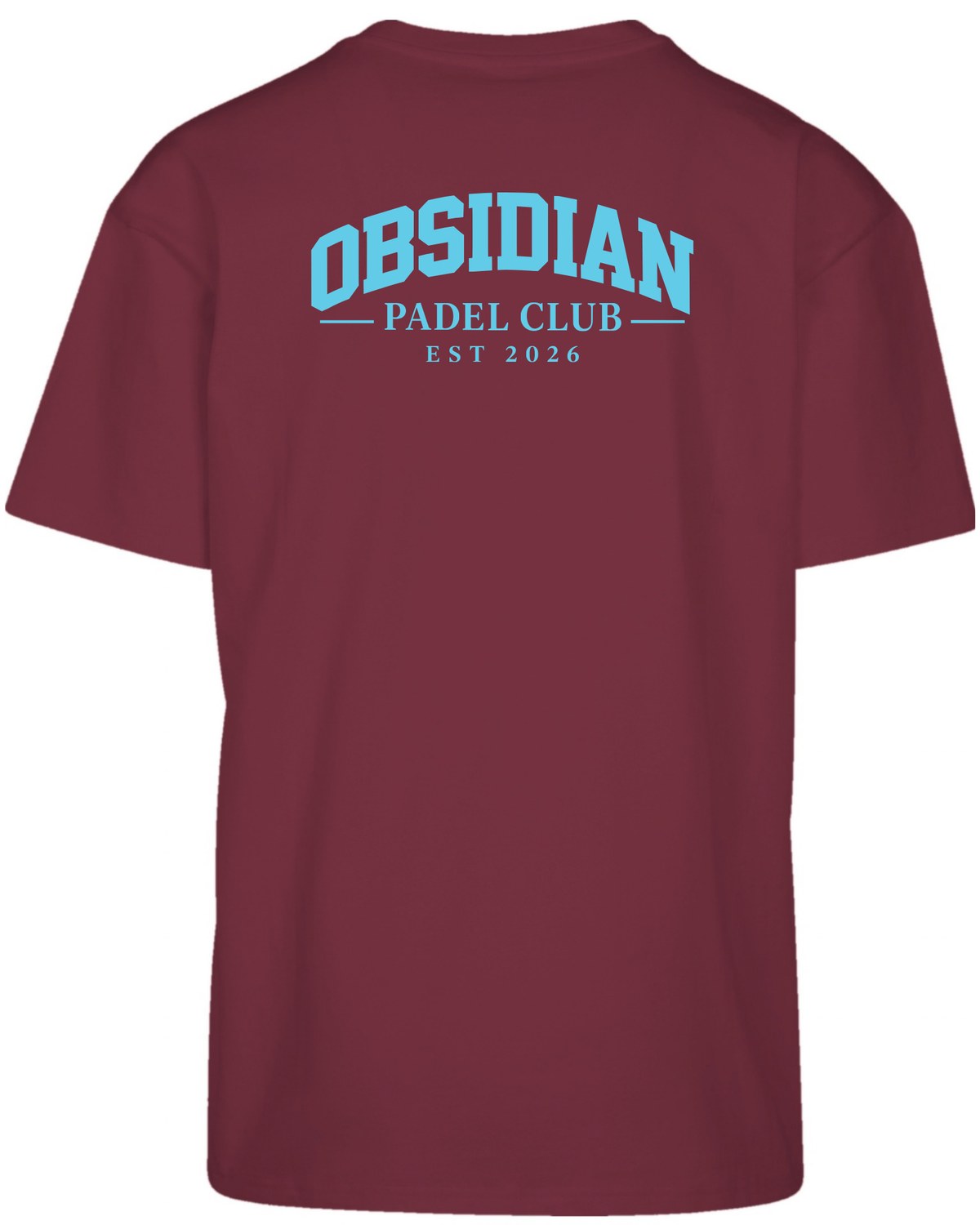 Varsity Oversized Tee in Cherry with light blue print, back