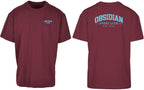 Varsity Oversized Tee in Cherry with light blue print, front and back
