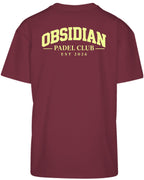Varsity Oversized Tee in Cherry with light yellow print, back