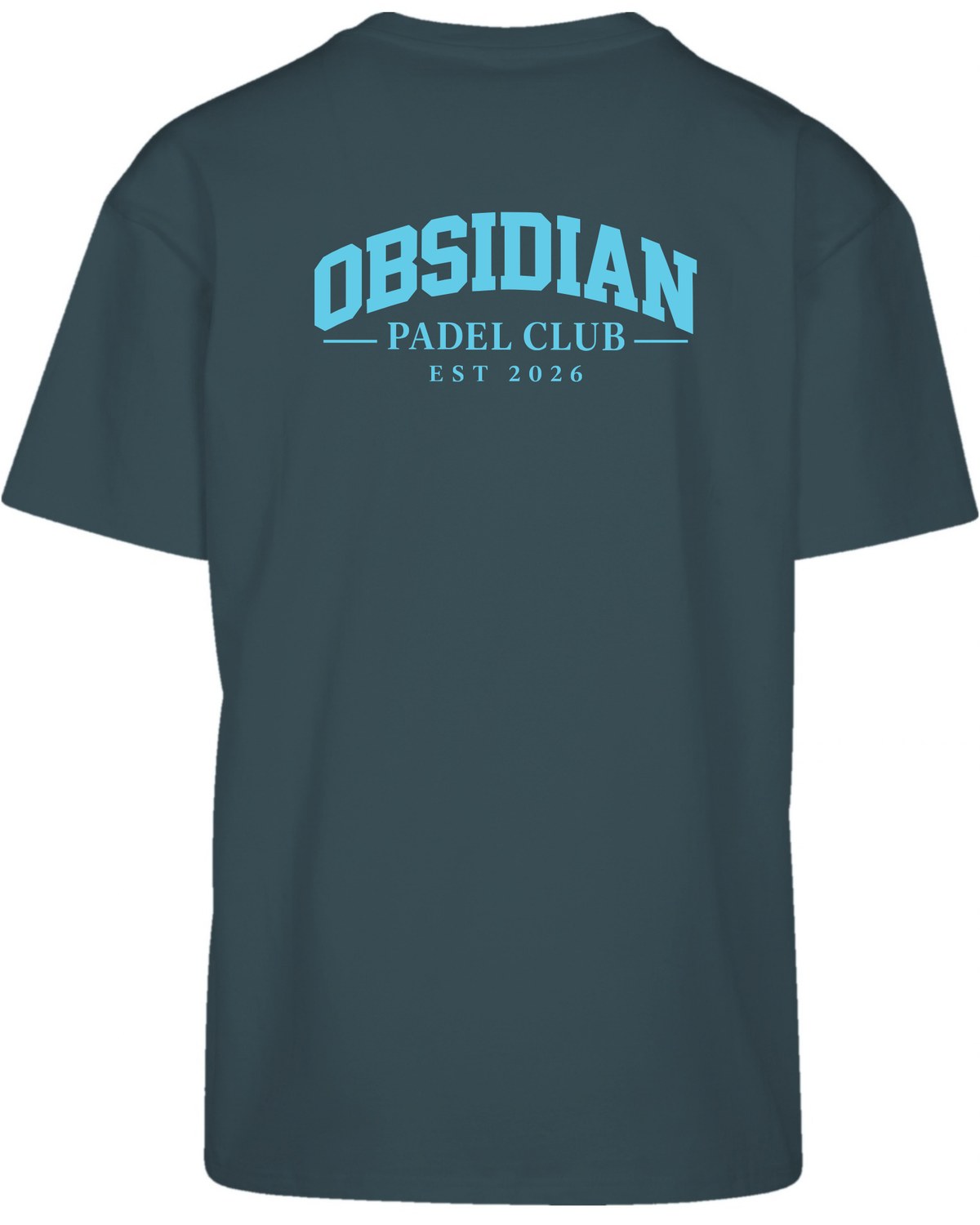 Varsity Oversized Tee in Green with light blue print, back