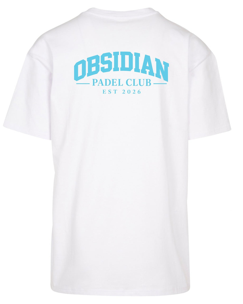 Varsity Oversized Tee in White with light blue print, back