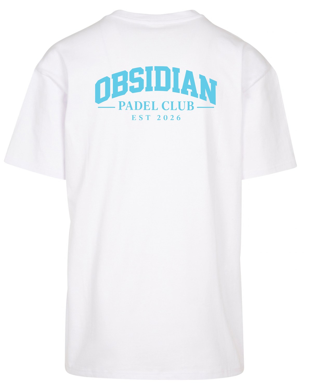 Varsity Oversized Tee in White with light blue print, back