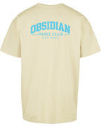 Varsity Oversized Tee in Yellow with light blue print, back
