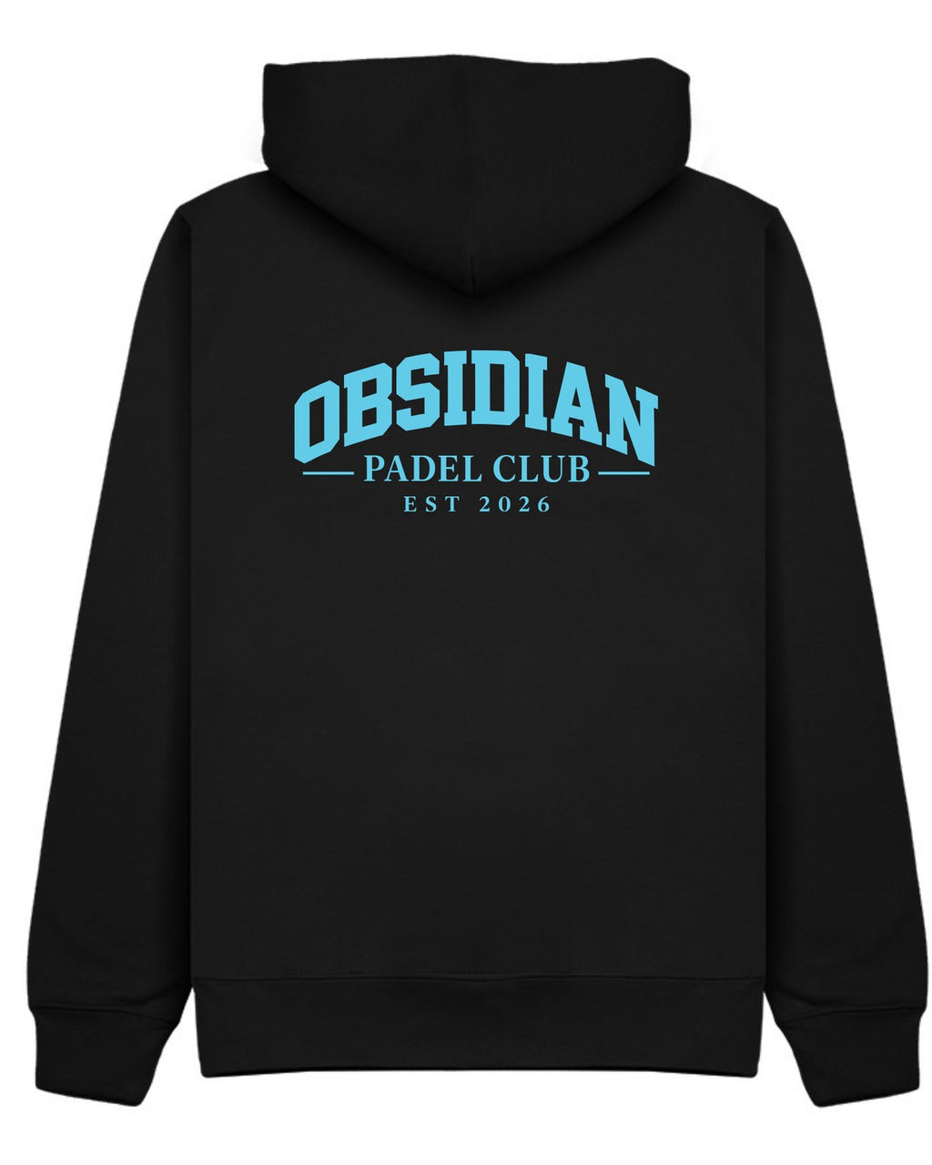 Varsity Hoodie in Black with light blue print, back