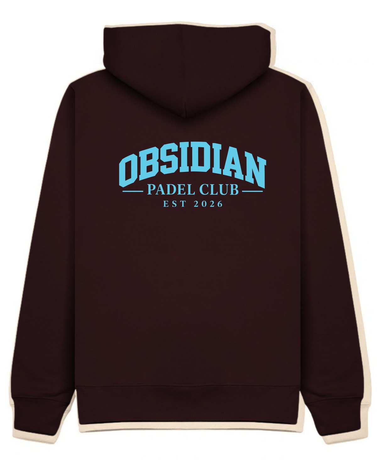Varsity Hoodie in Cherry with light blue print, back