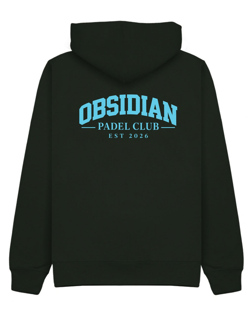 Varsity Hoodie in Green with light blue print, back