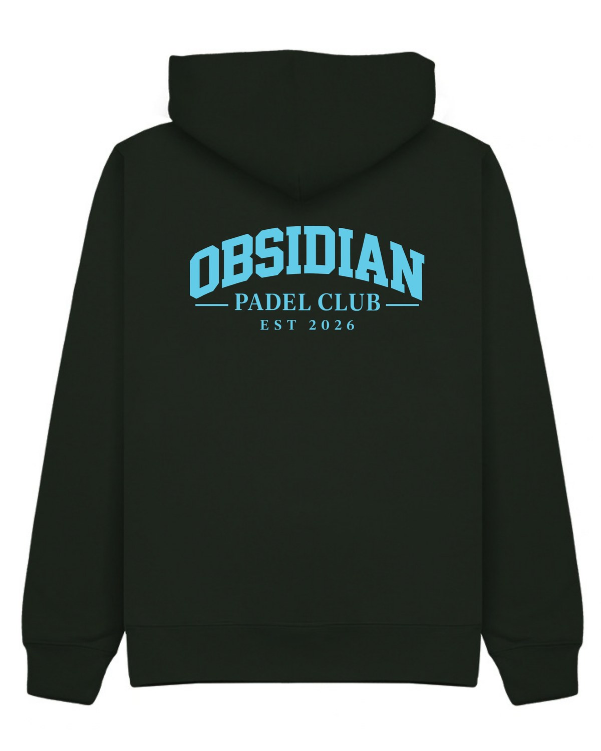 Varsity Hoodie in Green with light blue print, back