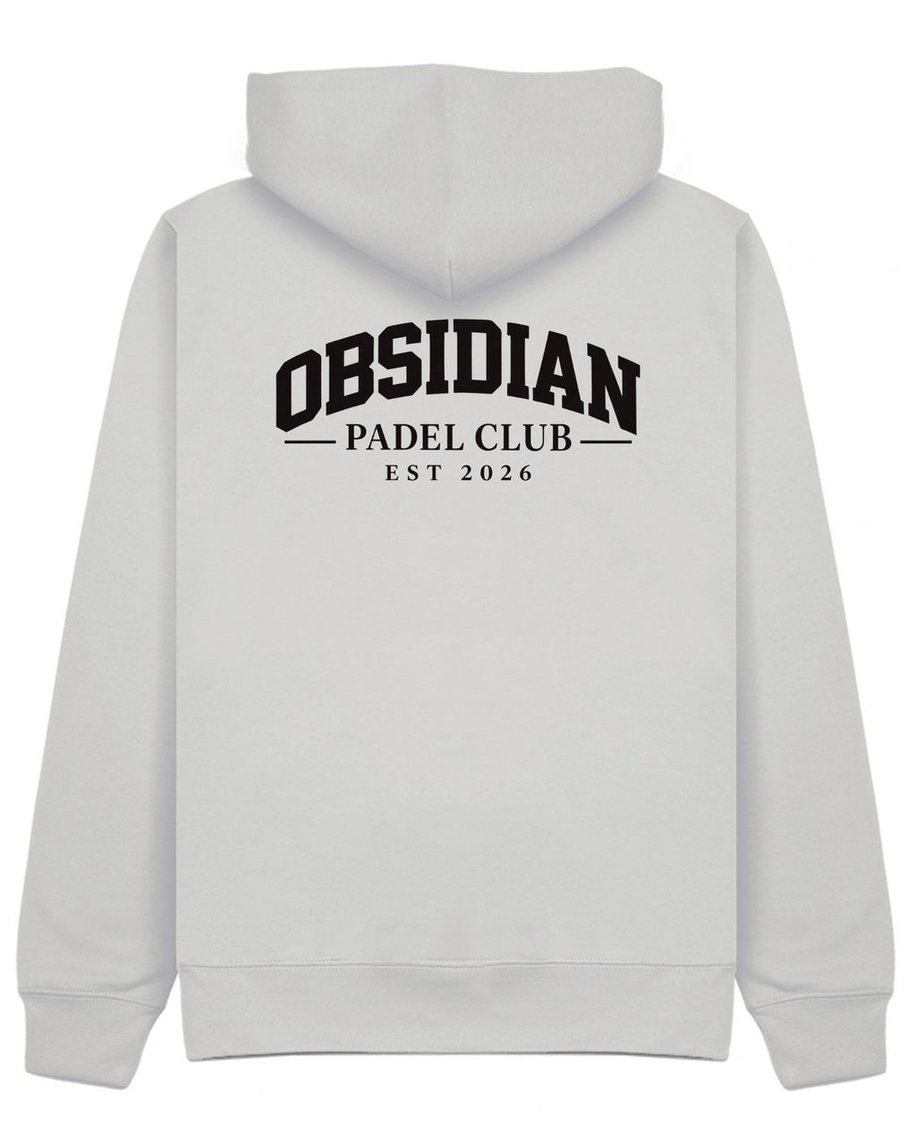Varsity Hoodie in Grey with black print, back