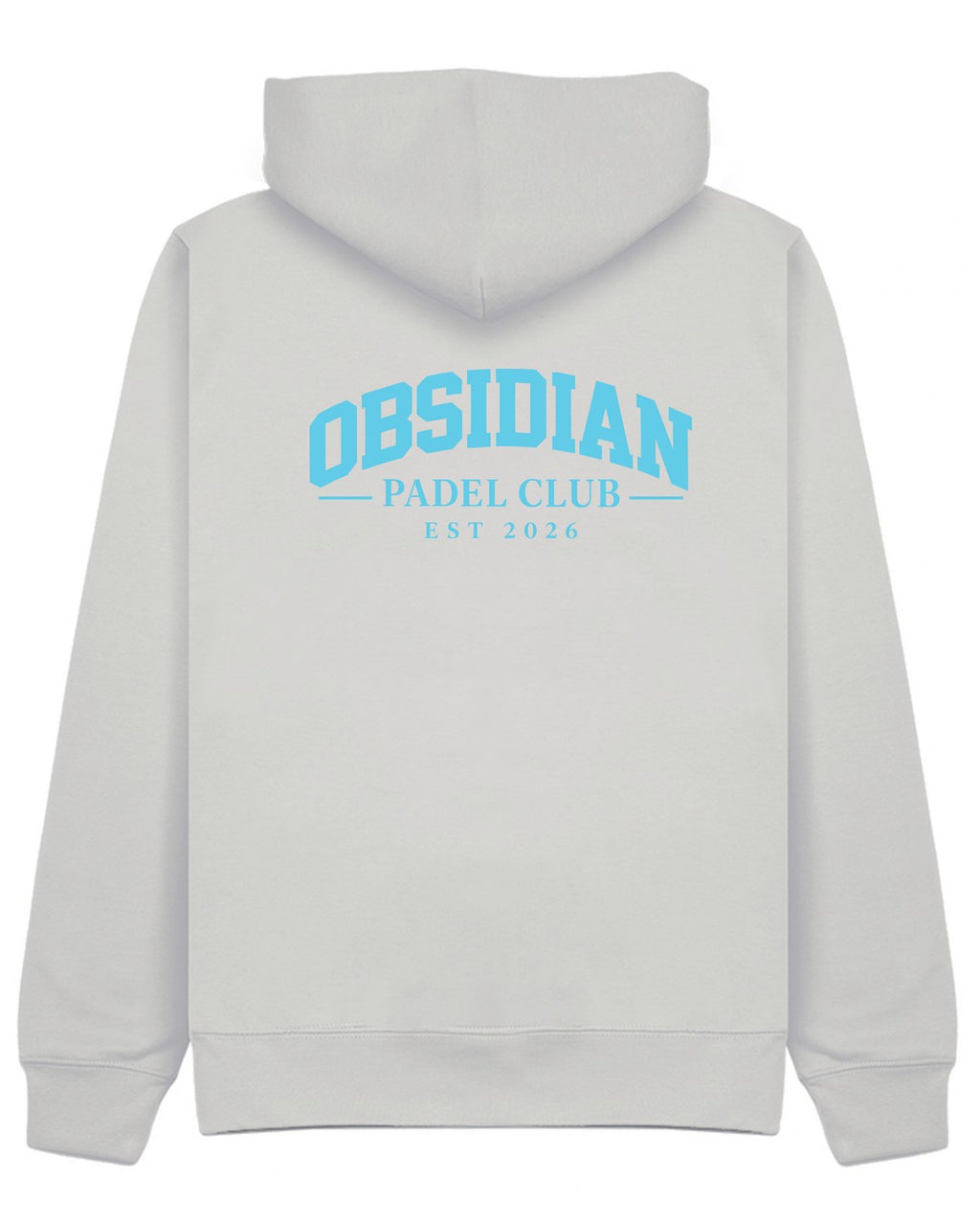 Varsity Hoodie in Grey with light blue print, back