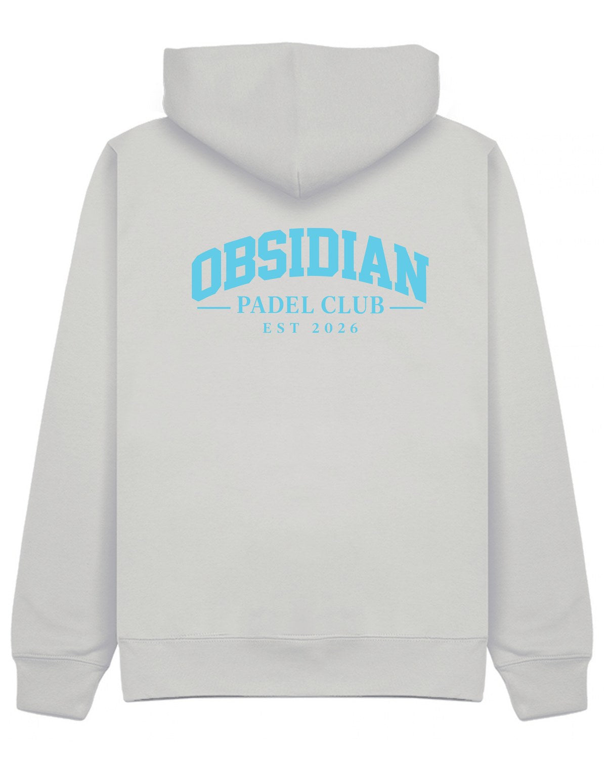 Varsity Hoodie in Grey with light blue print, back