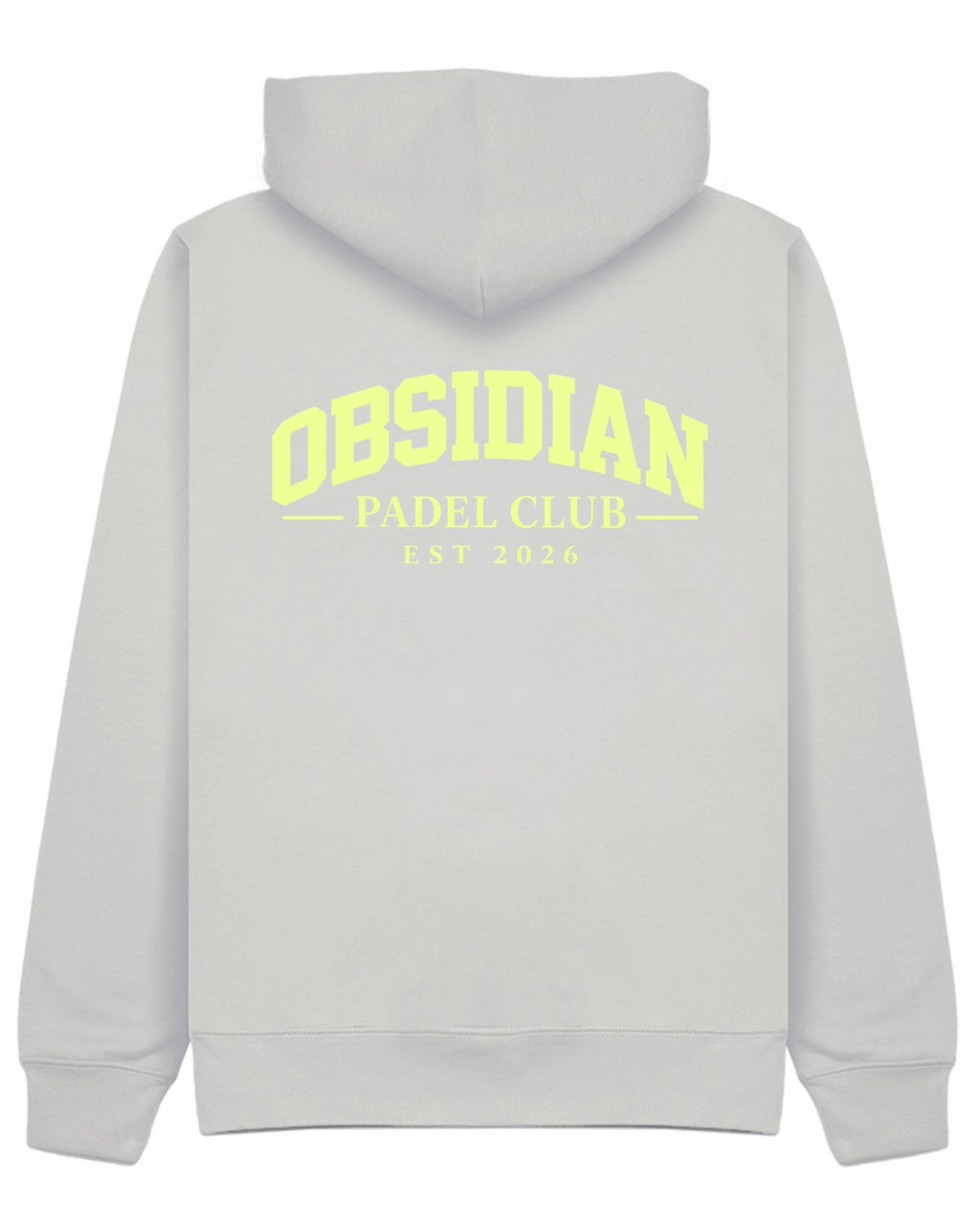 Varsity Hoodie in Grey with light yellow print, back