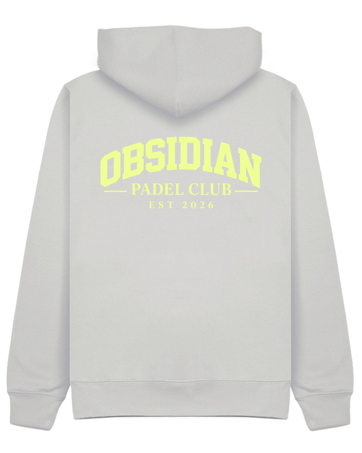 Varsity Hoodie in Grey with light yellow print, back