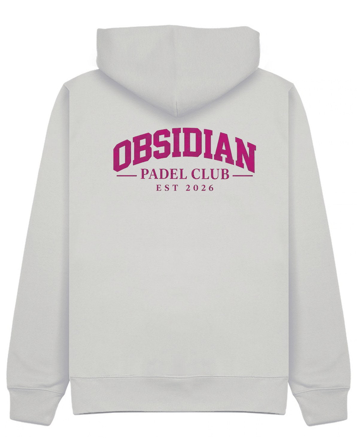Varsity Hoodie in Grey with pink print, back