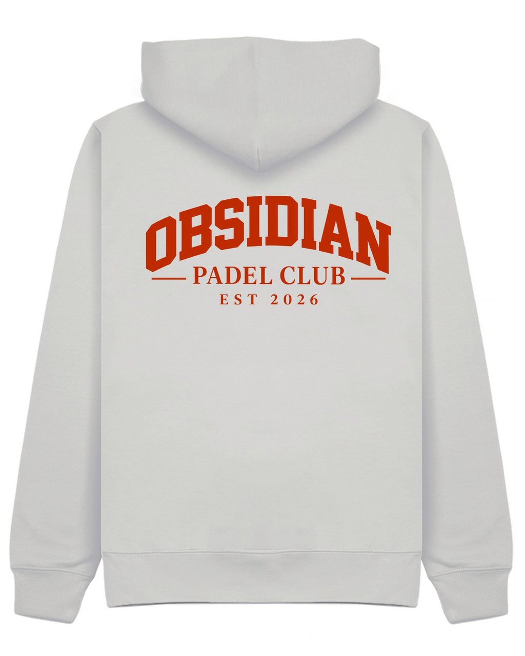 Varsity Hoodie in Grey with red print, back