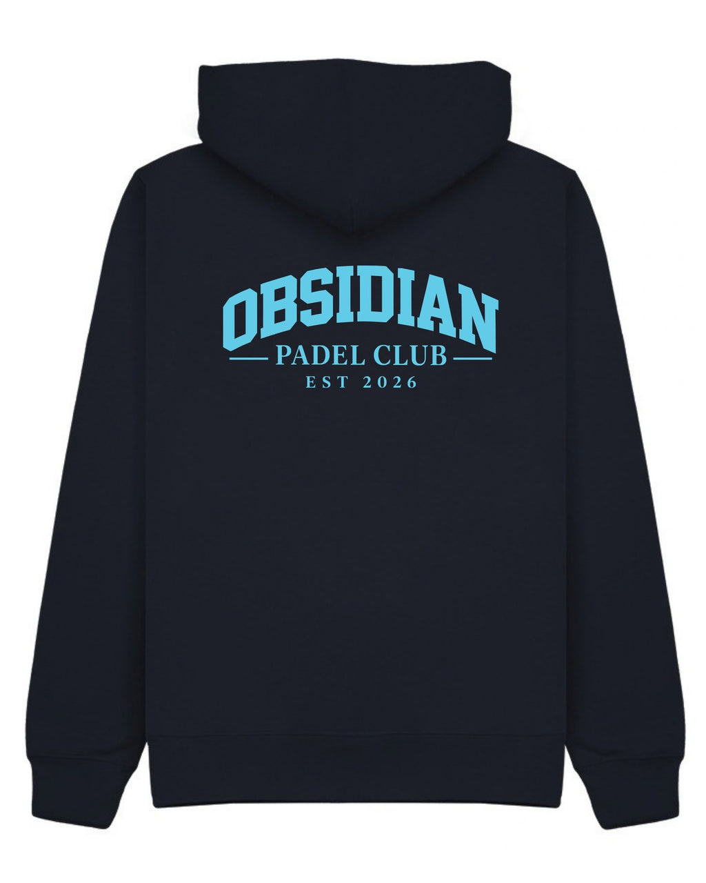 Varsity Hoodie in Navy with light blue print, back