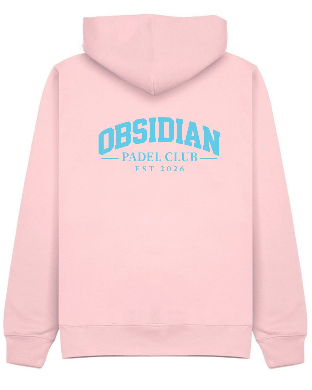 Varsity Hoodie in Pink with light blue print, back
