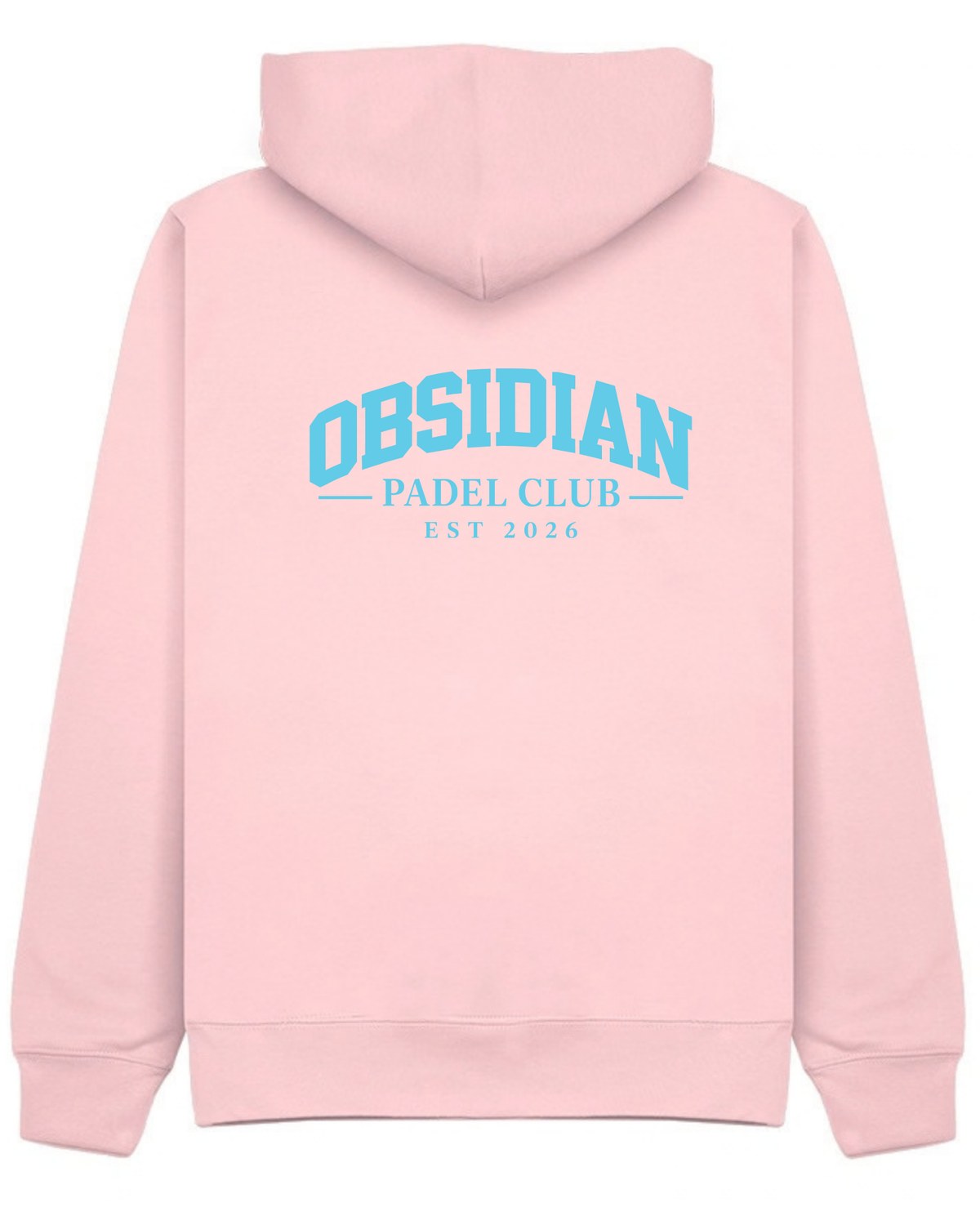 Varsity Hoodie in Pink with light blue print, back