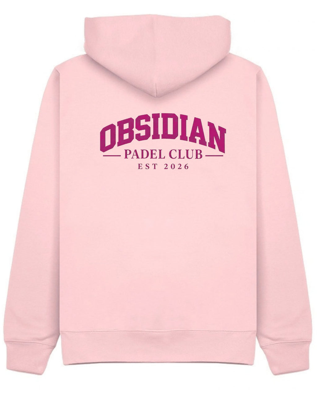 Varsity Hoodie in Pink with pink print, back