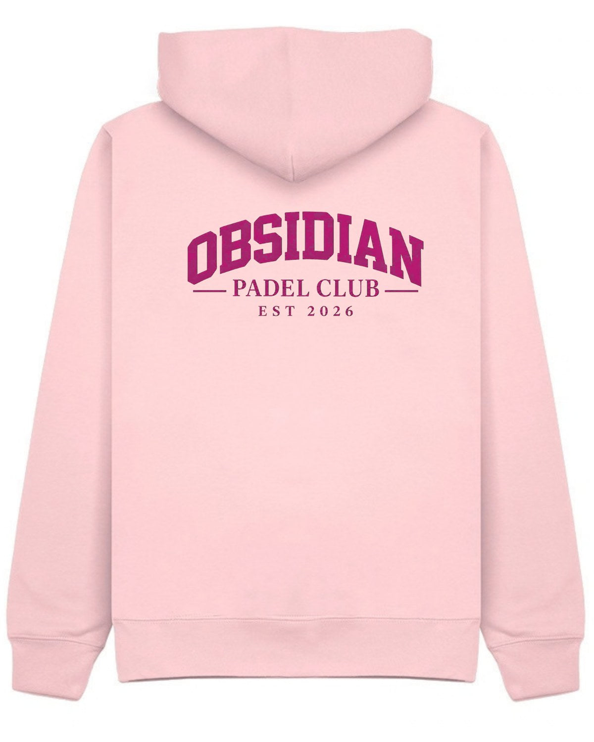 Varsity Hoodie in Pink with pink print, back