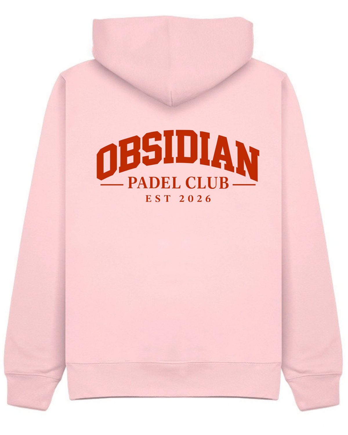 Varsity Hoodie in Pink with red print, back